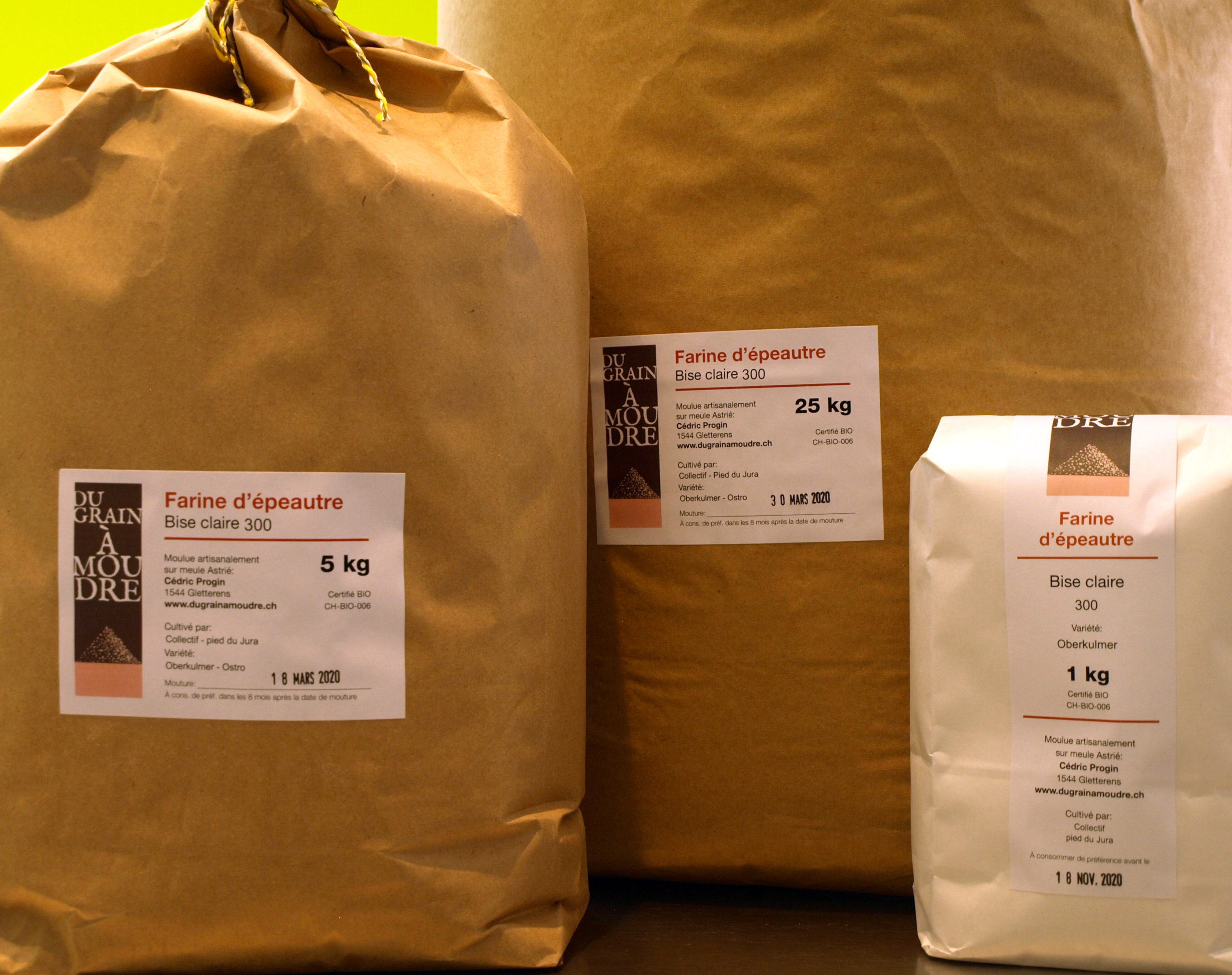 Epeautre bise claire – Image 2