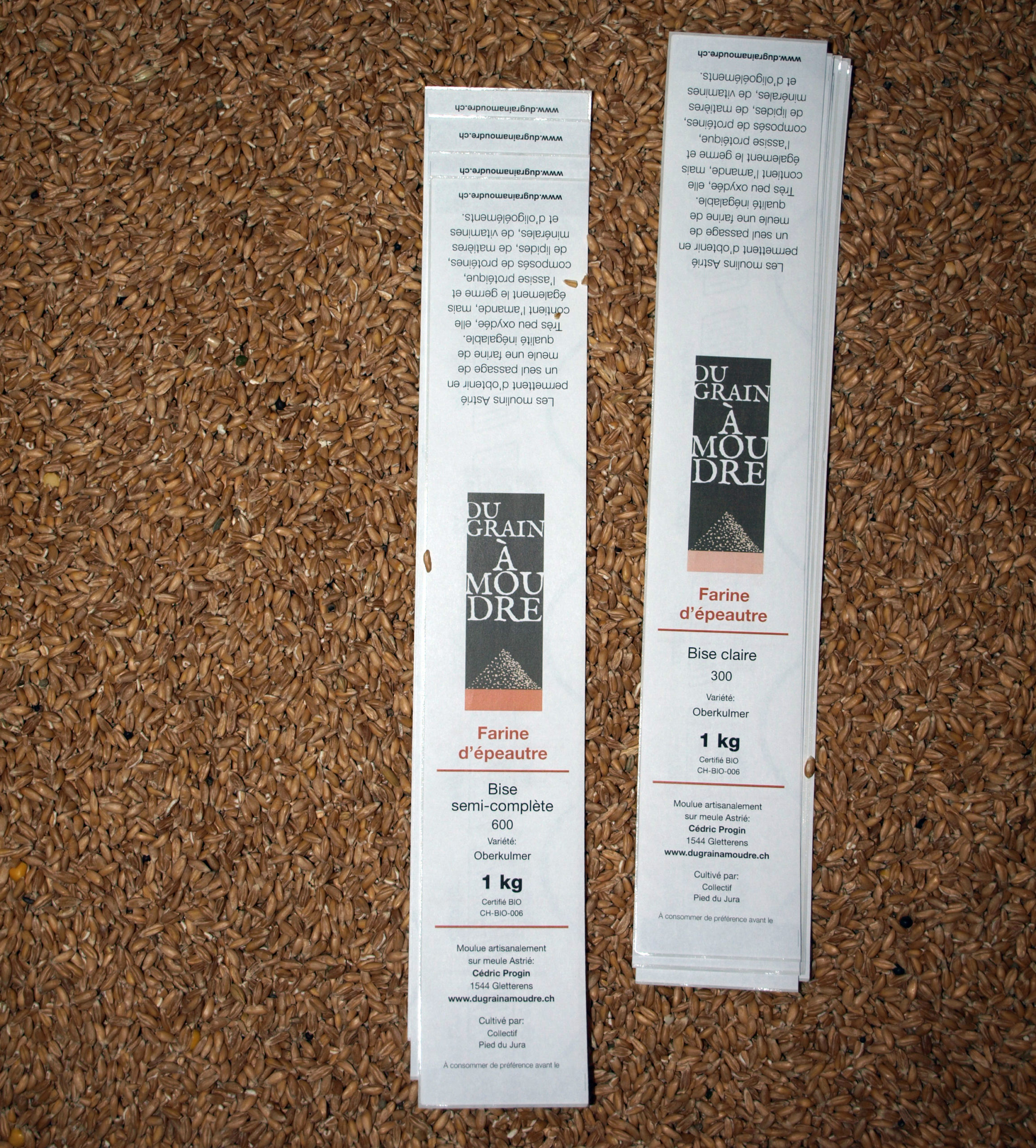 Epeautre semi-complète – Image 3