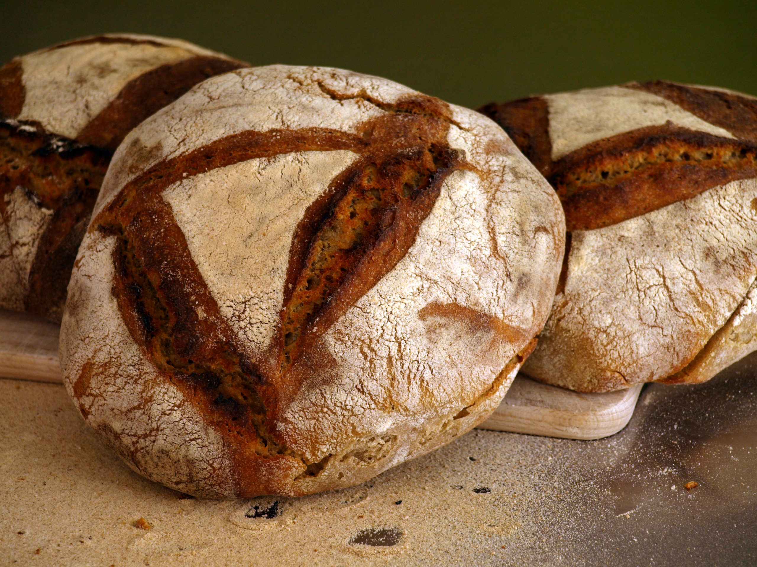 Pain aux blés anciens ou aux céréales anciennes